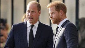 Prince William never thought Harry was ‘capable of’ attacking Royal family