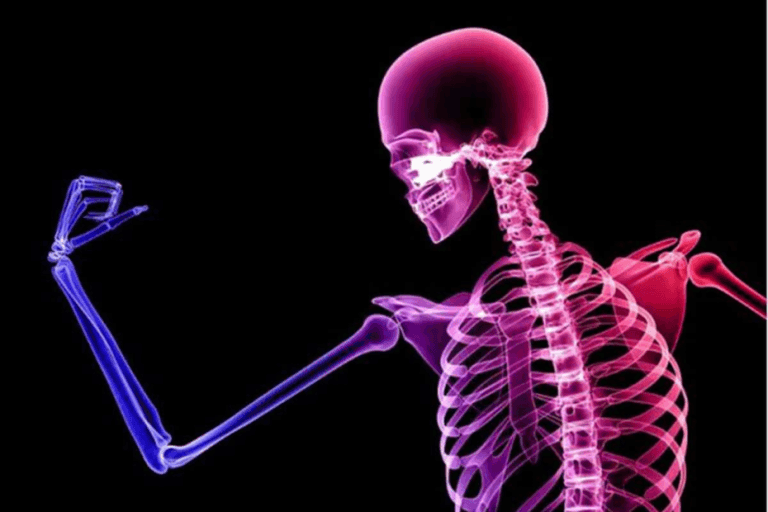 Bone Health | 10 Secrets For Physically Fit And Strong Body