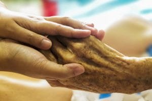 Aging Trends and the Future of Longevity