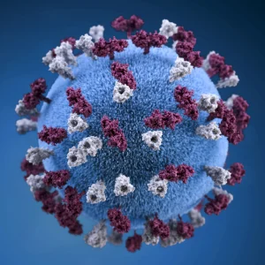 All About Human Metapneumovirus (HMPV) 