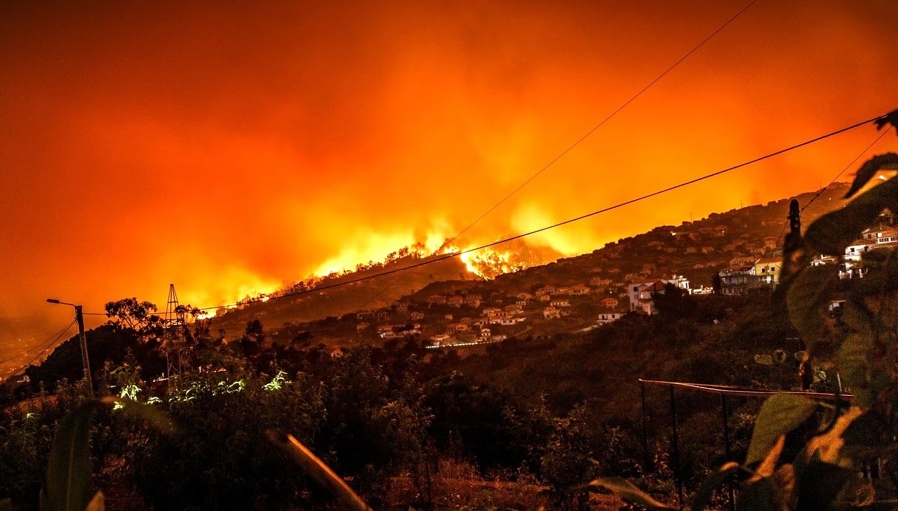 LA Wildfires: Is it Nature's Revenge?