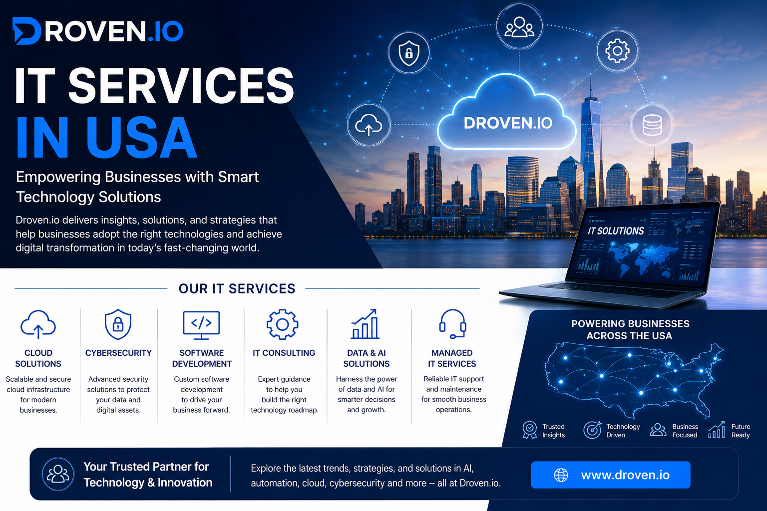 droven.io it services in usa
